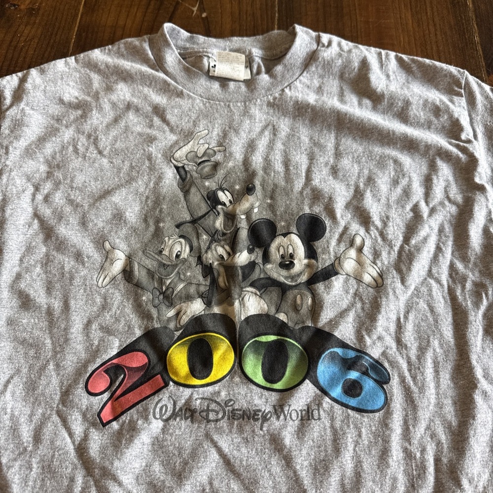 Walt Disney World Shirt Grey Mickey Mouse Friends Tee 2006 Donald Duck Lg Unisex